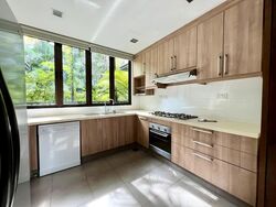 Chancery Hill Walk (D11), Terrace #551098501